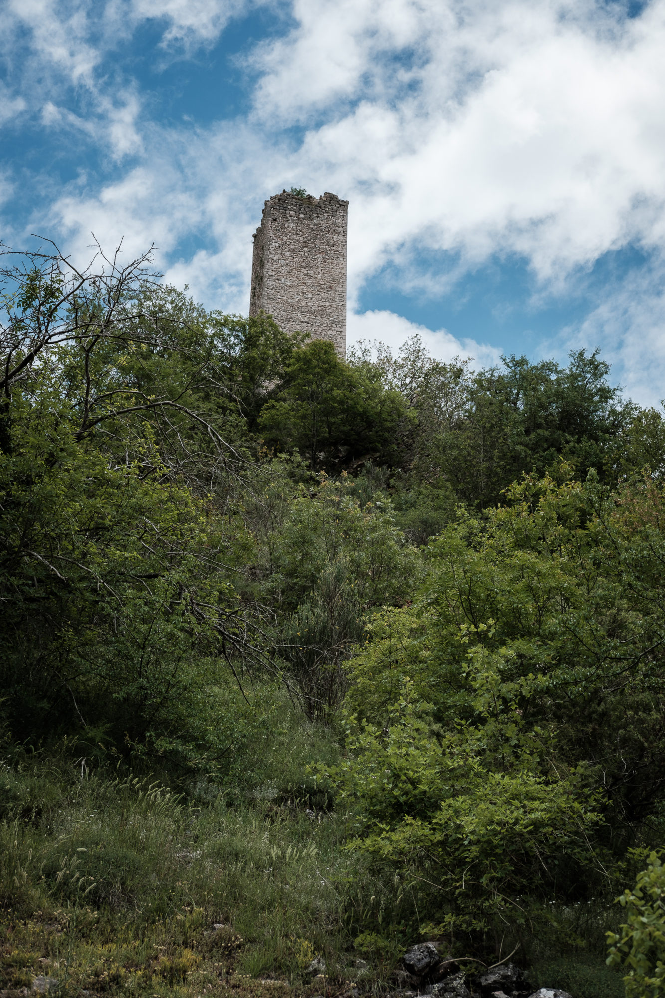 Appennino, estate 2016, Giuliano Guida